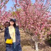 饭局居然分居湖北