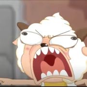 流浪小猫的护花使者