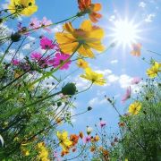 乌兰布统草原相聚牧家乐