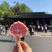 爱旅游的小满满