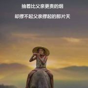 努力努力再努力牛