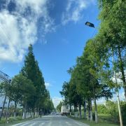 唯爱-怡生