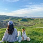 一路很美人的人a