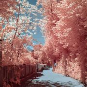 自由的人生旅途