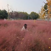 酷盖盖的小姐姐