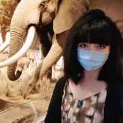 ai旅行的刘小姐