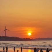 想走遍天南海北的山竹