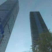 城中烟火 城中森林