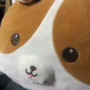 德鲁大叔是我