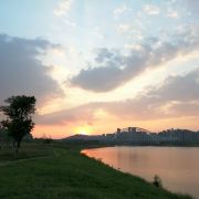 芳姑带你看世界