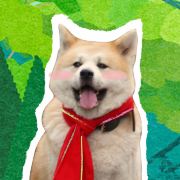 小野巡山拾野川