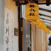 海鸥落在那礁石