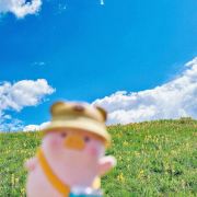 小肥牛旅行版本