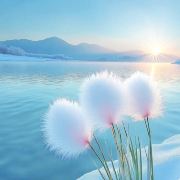 爱漂泊的旅行者