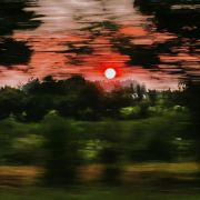 田小草的分享日记