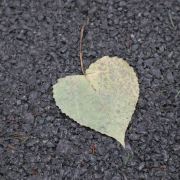 踏破我的小布鞋