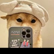 去哪旅游看我拍