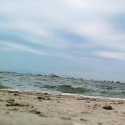 小伟 酒店体验者