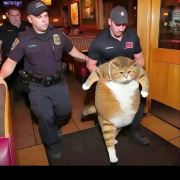 一个温暖的人啊