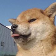 你的好友哦哦哦