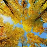 @星辰🍀🍀之旅