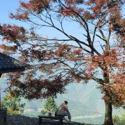 民宿一哥赵公子