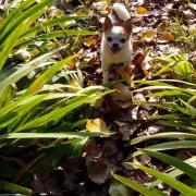 随心随意看山看水