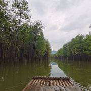 努力赚钱为了生活