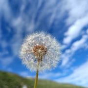 小星⭐️爱旅游