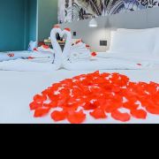 小兔小兔爱旅行