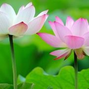 小徐体验生活酒店