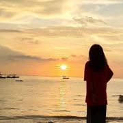 小陈旅行者种草记