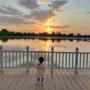 🎉我是一条鱼🐟