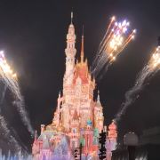 脾气暴躁的铲屎官