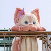 小笼包沈阳分包