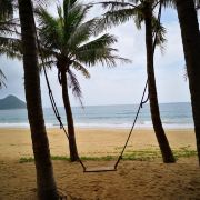 转山转水转到你