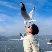 阿猫爱吃三文鱼