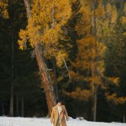 请在适当的位置掉头