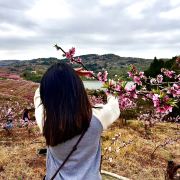 小杨的旅行日记a