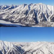 看见花开春又来