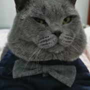 乔治(⁎⁍̴̛͂▿⁍̴̛͂⁎)*✲゚*