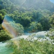 爱旅行的鱼h