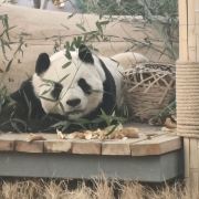 小志带你看风景