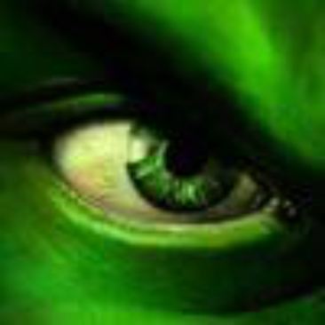 Halk_
