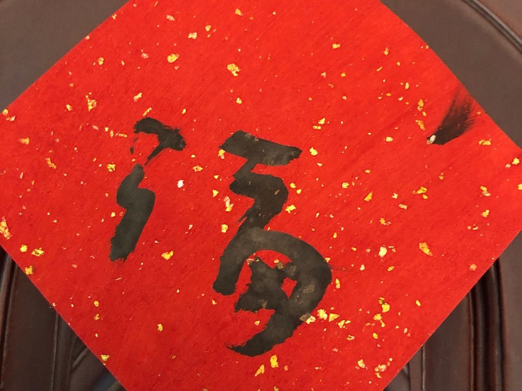 貓之世界