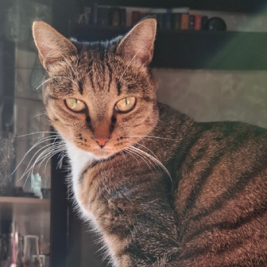 ВикторияСв