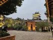 Arinasara