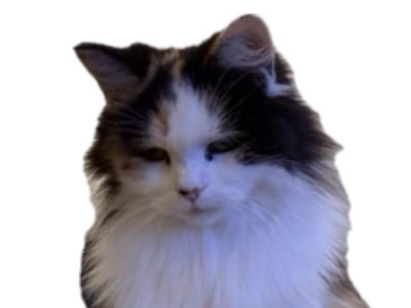 Fudgey