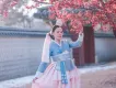 十七姐