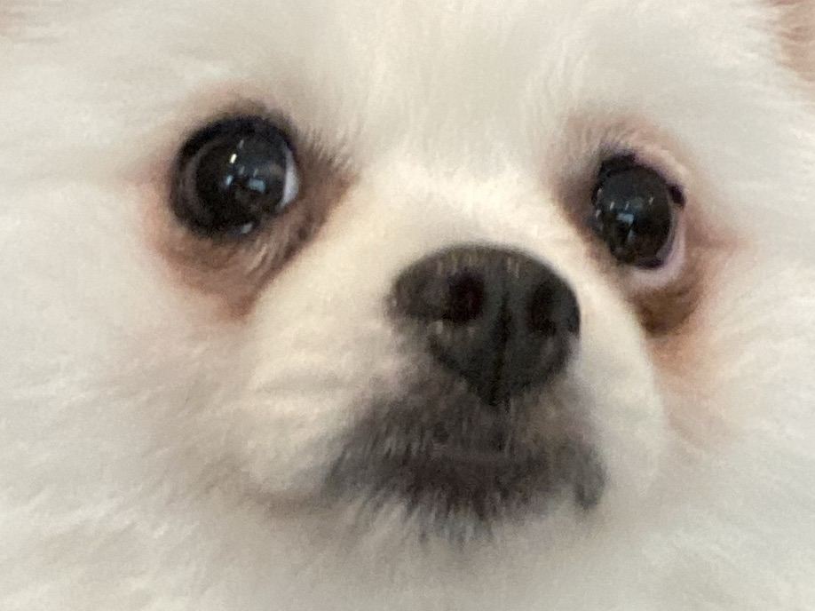 Tongjarb